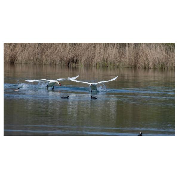 PHOTO84, CLUB, 84 , LUBERON